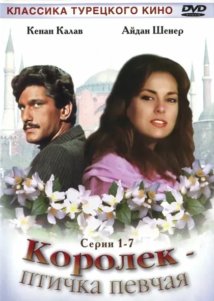 Постер Осман Ф. Седен
