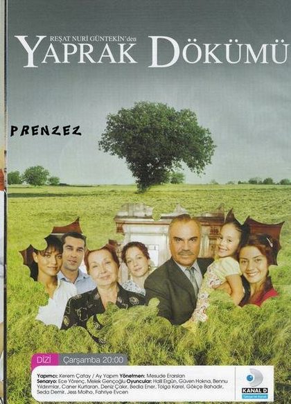 Постер Месуде Эрарслан